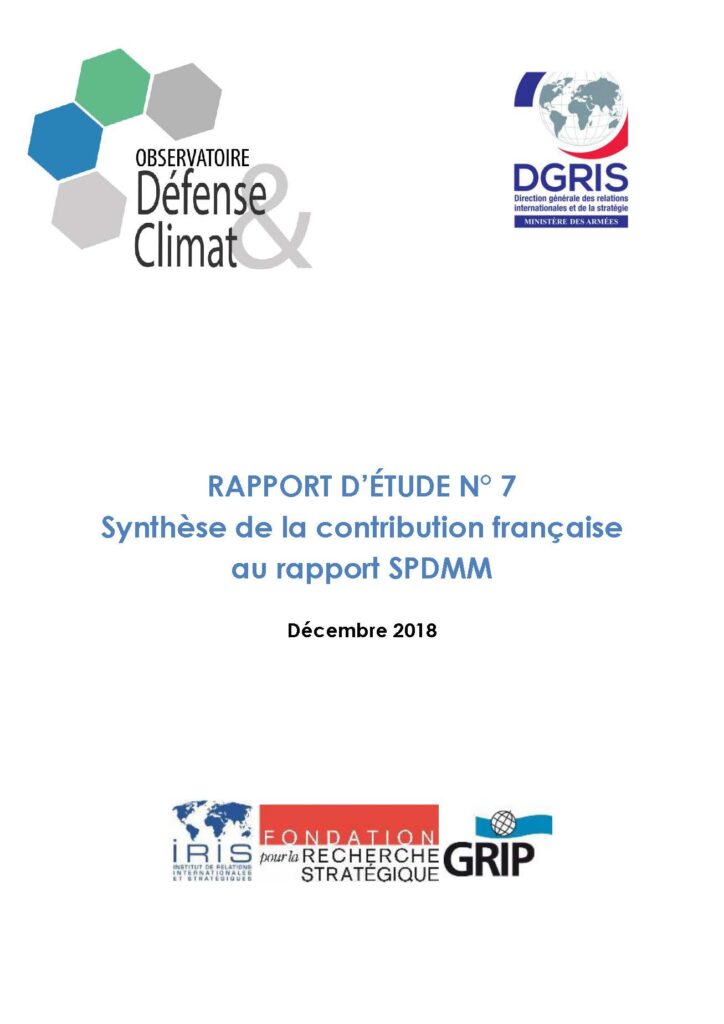 Synthèse de la contribution française au rapport SPDMM