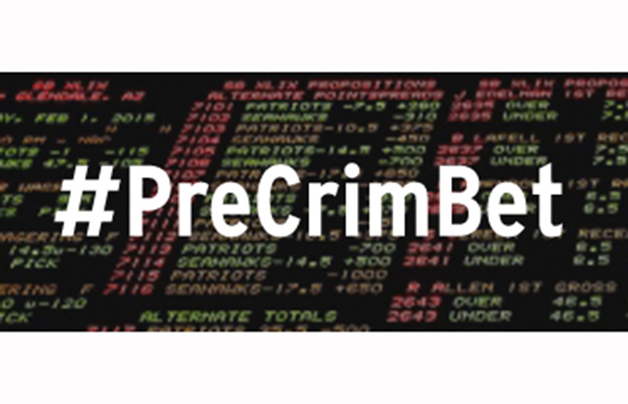Conclusion of the PreCrimBet EU Programme coordinated by IRIS with Partners
