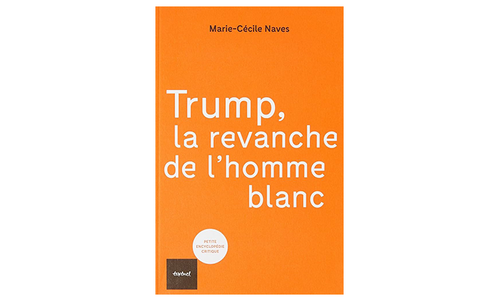 « Trump : la revanche de l’homme blanc » – 3 questions à Marie-Cécile Naves
