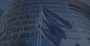 National Expectations Regarding the European Defence Fund