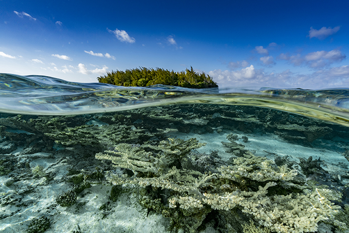 One Planet Summit : une mobilisation inédite autour des enjeux marins, avec quels effets ?