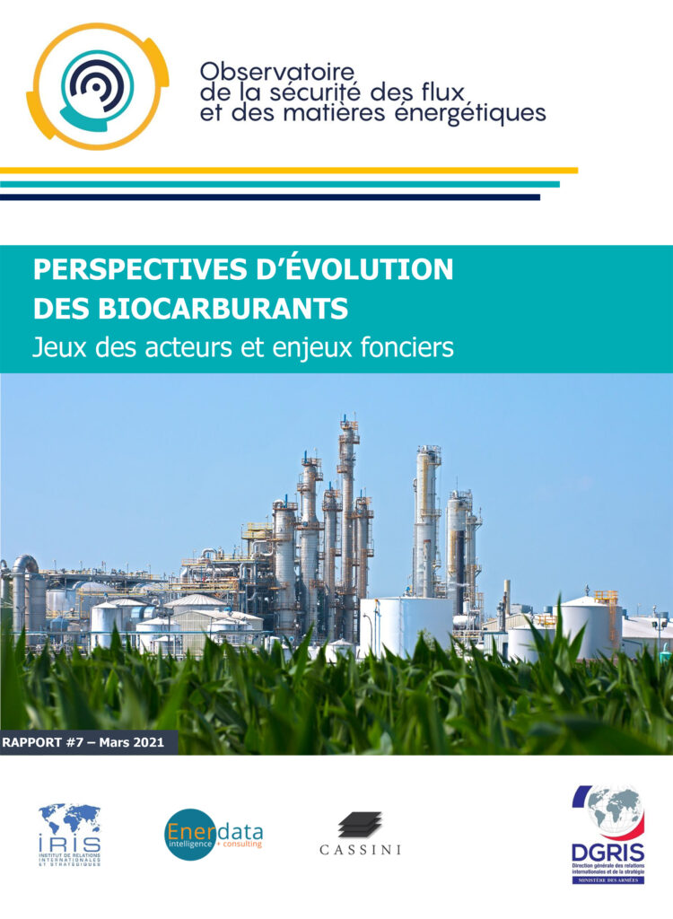 Perspectives d’évolution des biocarburants. Jeux des acteurs et enjeux fonciers
