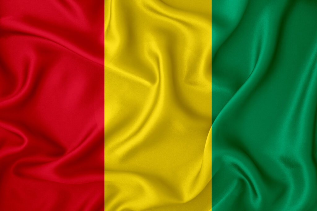 Deux semaines après le coup d’État, où va la Guinée ?
