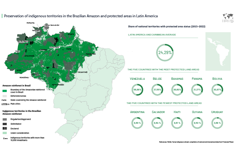 Preservation of indigenous territories in the Brazilian Amazon and protected areas in Latin America

