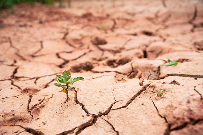 Une réflexion critique sur le nexus Humanitaire - Développement - Paix