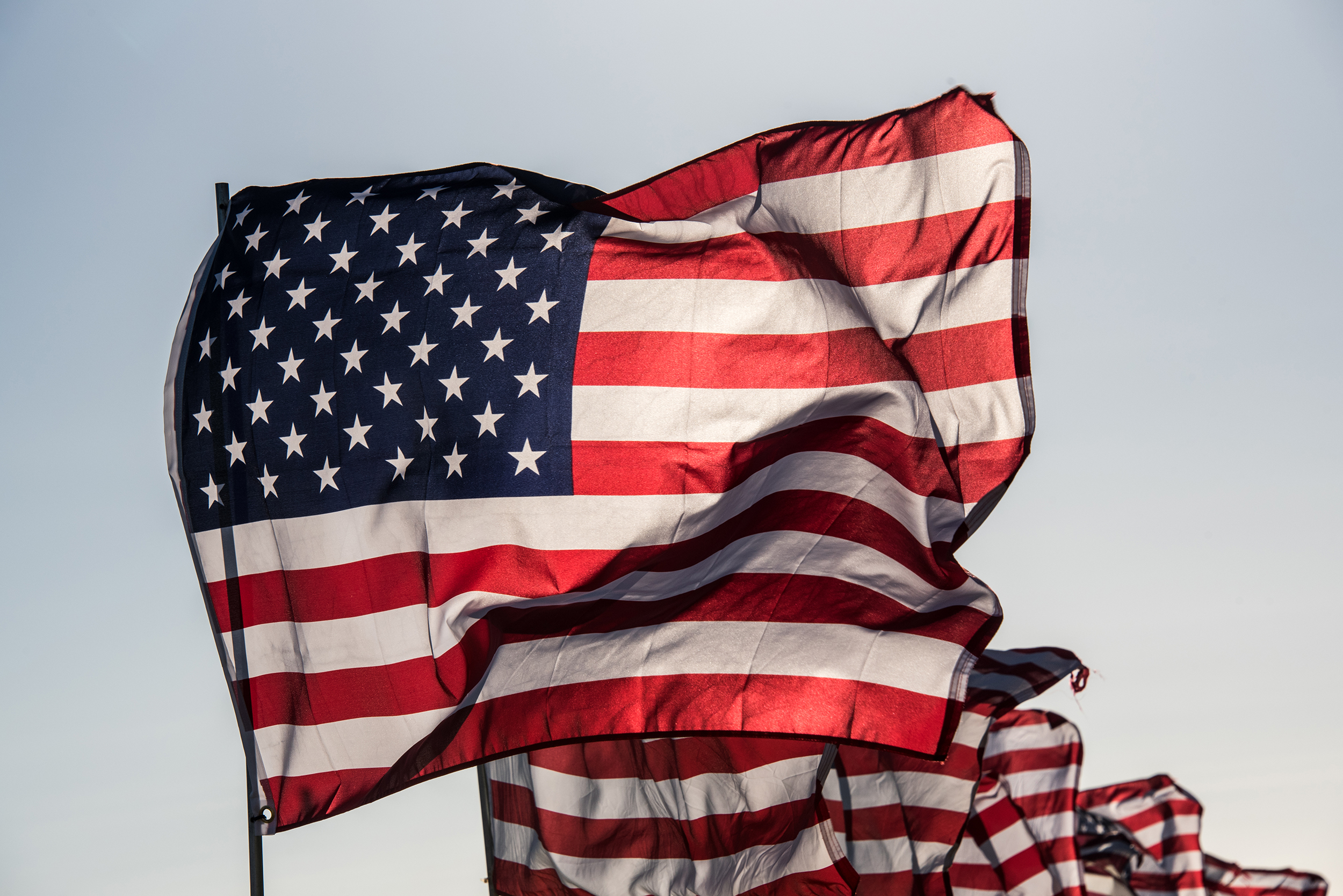 United States 2024: the Election and Political Danger
