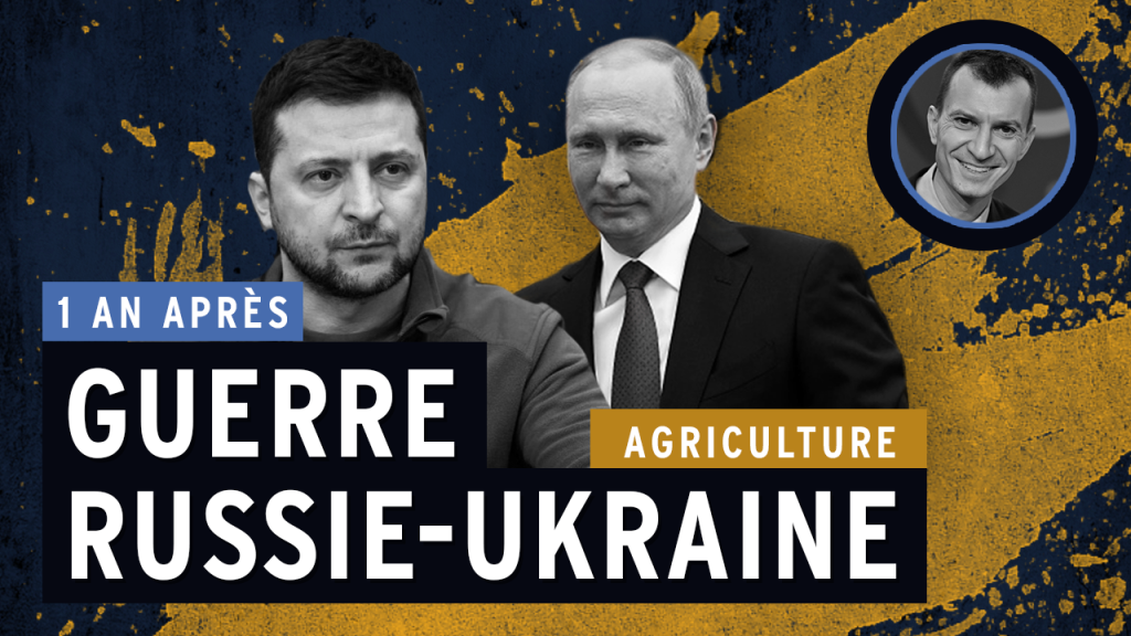 Guerre en Ukraine, 1 an après : le blé comme arme géopolitique
