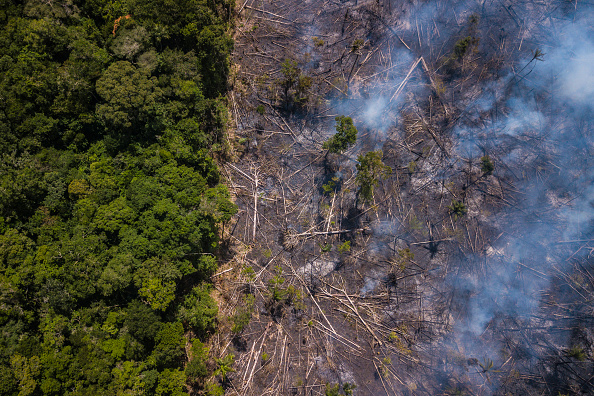 Brésil : où va la puissance agro-alimentaire avec Bolsonaro ?

