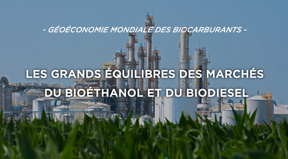 Les grands équilibres des marchés du bioéthanol et du biodiesel
