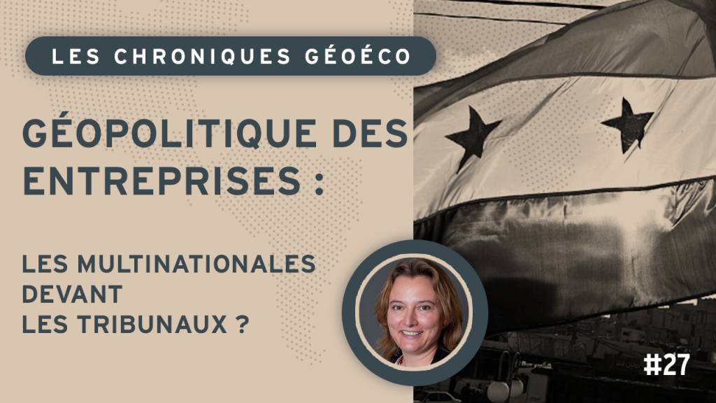 Géopolitique des entreprises : les multinationales devant les tribunaux ?