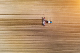 Géopolitique des mondes agricoles et sécurité alimentaire