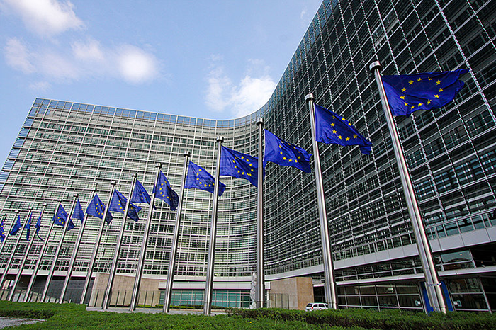 European integration process