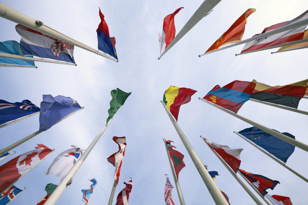 Regional organisations and security architecture