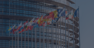 Integration of the European Capability Process in Member States’ Administration