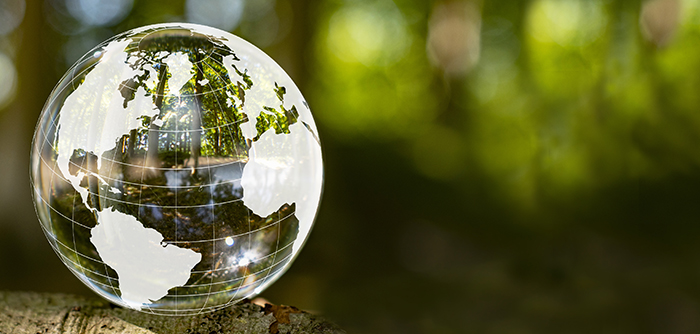 Les COP Biodiversité et Climat : comment penser la transversalité de nos équilibres ?
