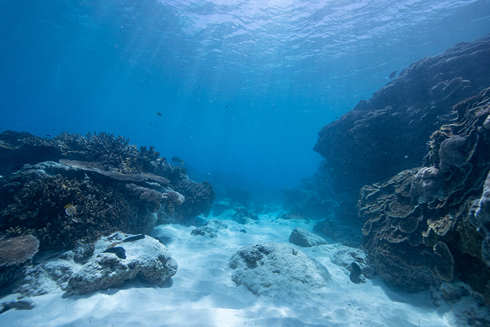 Deep Sea Mining: 2025, a Strategic and Institutional Turning Point?

