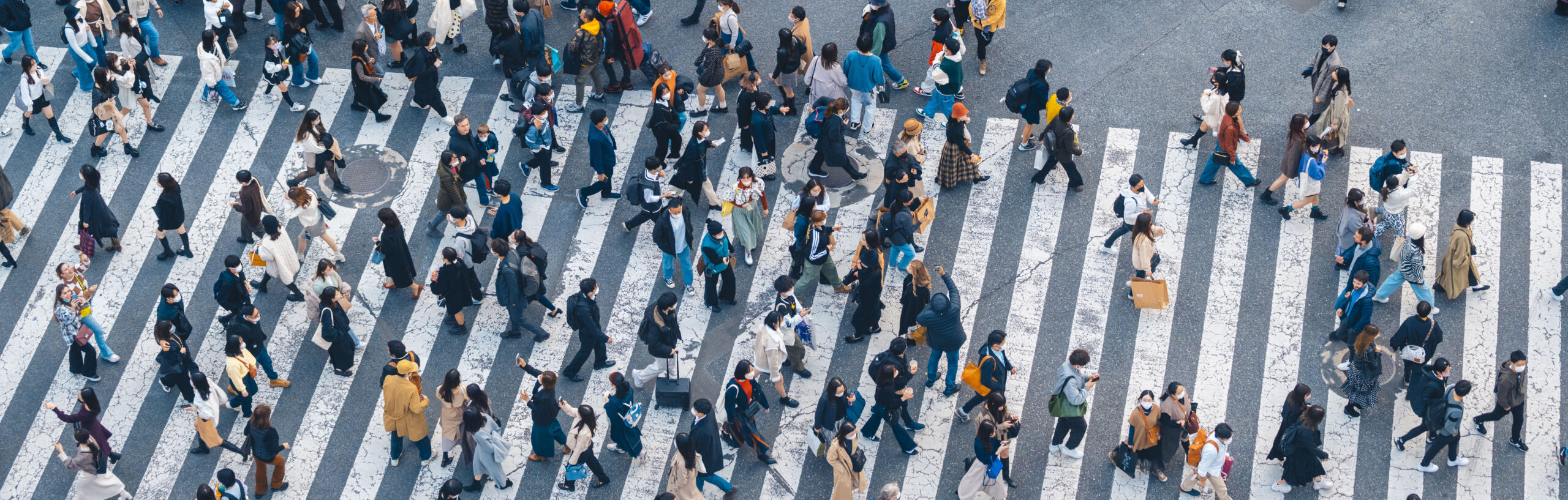 Vieillissement des populations en France et au Japon : quels défis politiques et sociaux ?
