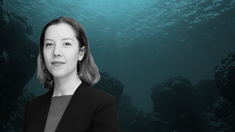 Océan : pourquoi un programme dédié ?
