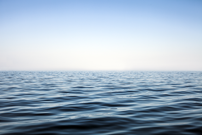 High Seas Biodiversity Treaty: A New Era for the Protection of Marine Biodiversity in the High Seas?
