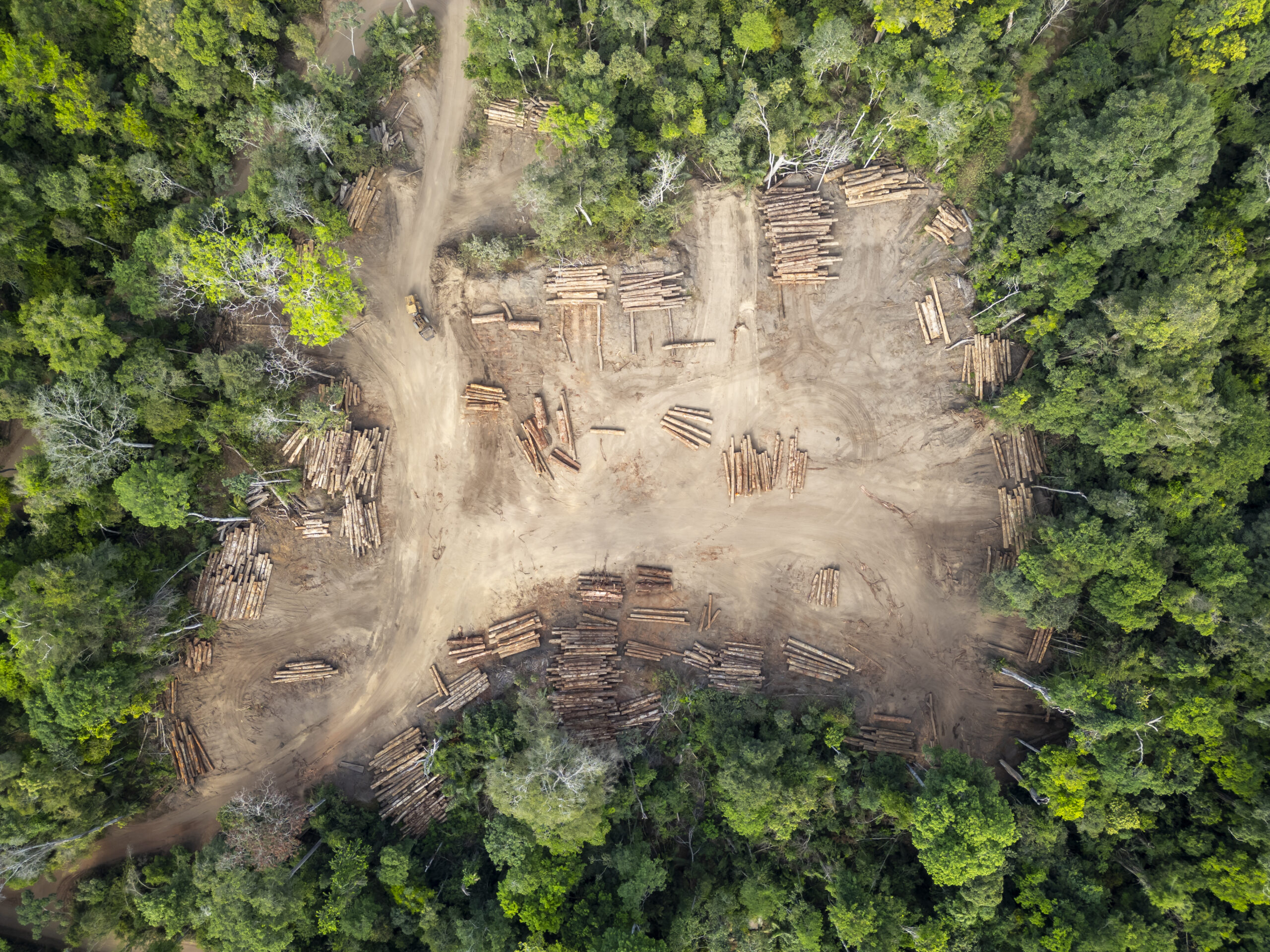 Strategic Plateau of the Guiana Shield – Climate and defence workshop
