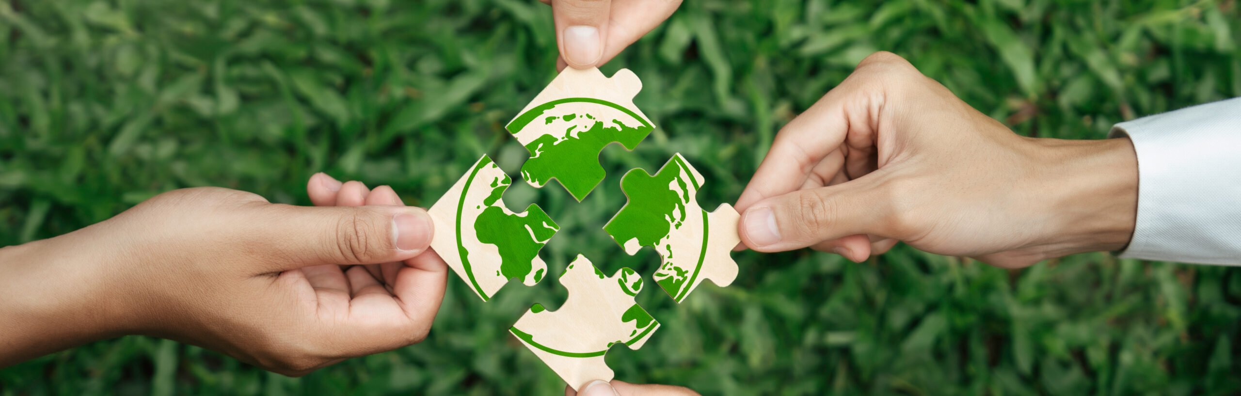 Japan-France Cooperation and the Future of Climate Change
