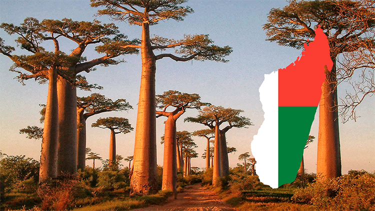 Madagascar : l’île aux richesses confisquées, jusqu’à quand ? | Expliquez-moi…
