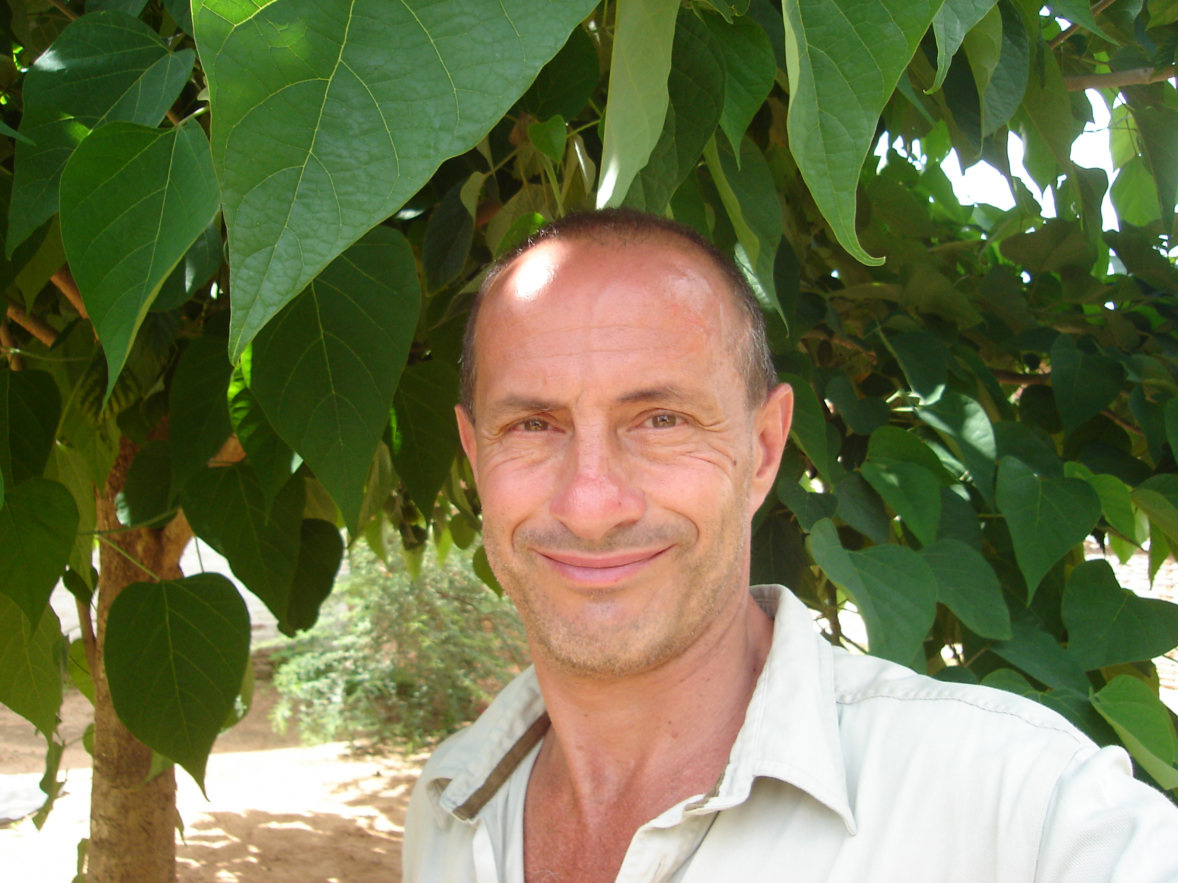 François Grünewald