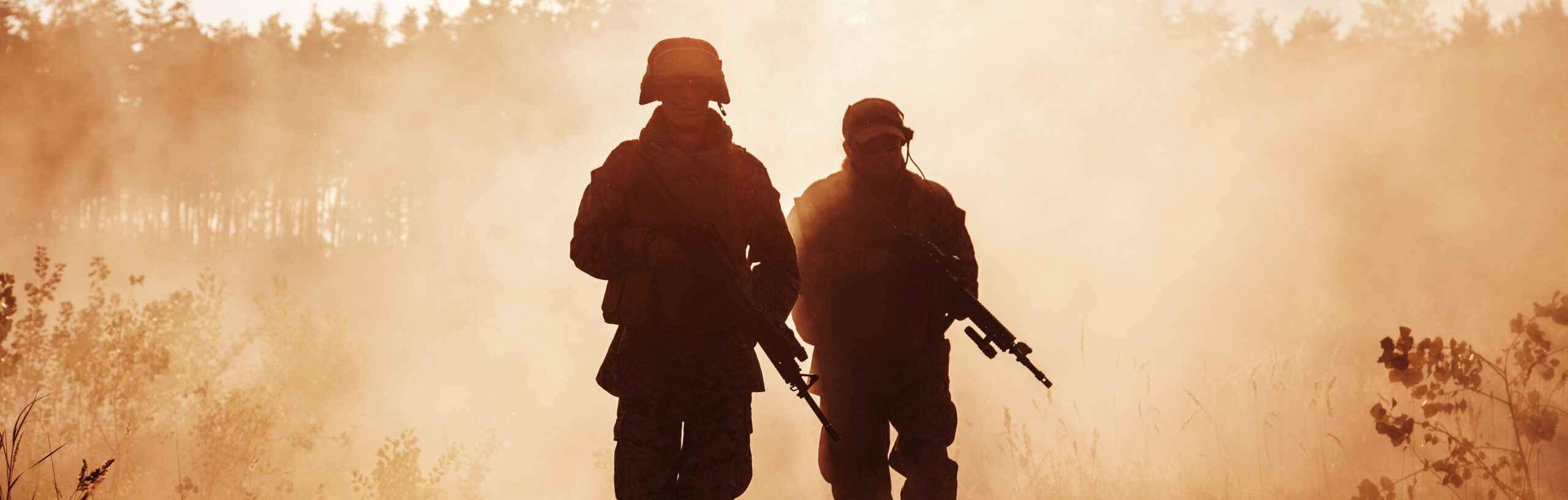 La défense face aux changements climatiques et aux polycrises mondiales
