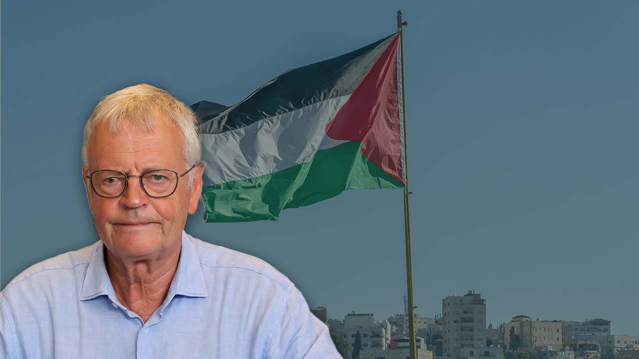 Pogrom en Palestine - IRIS