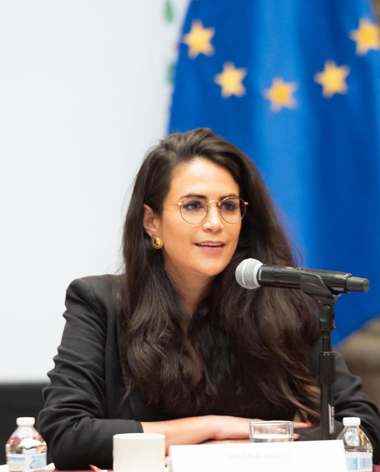 Valeria Hamel Sierra (en distanciel et en espagnol)