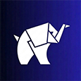 The Black Elephant Experience
